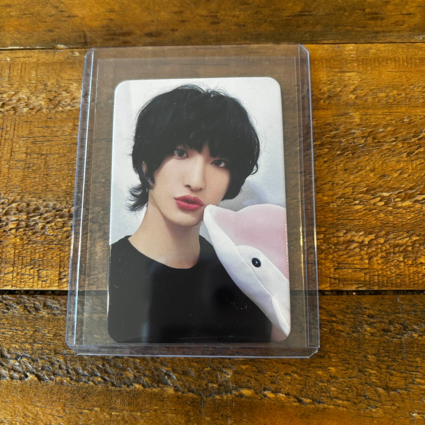 Photocard Singles