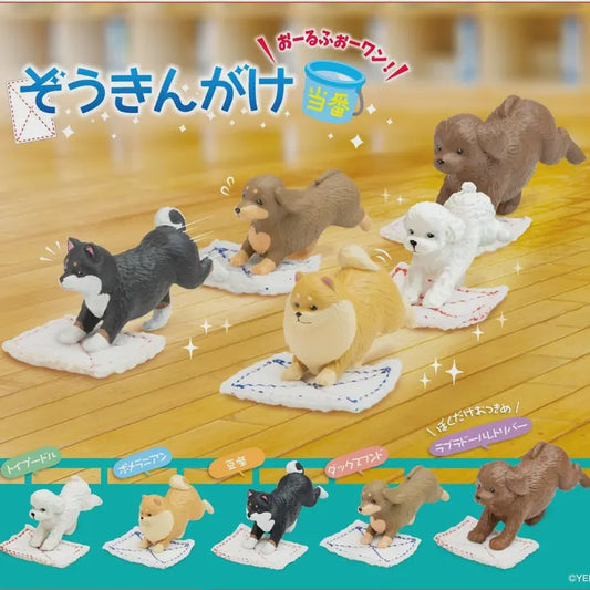 Cleaning Dog Blind Box