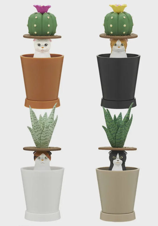 Cat Peek Planter Blind Box