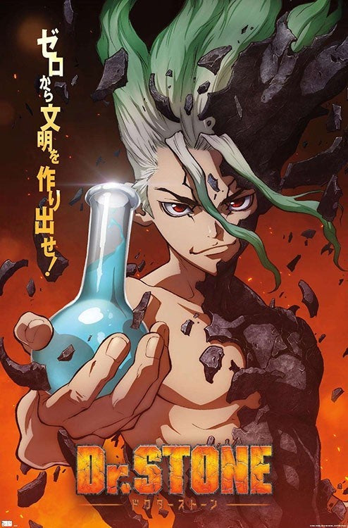 Dr. Stone Poster
