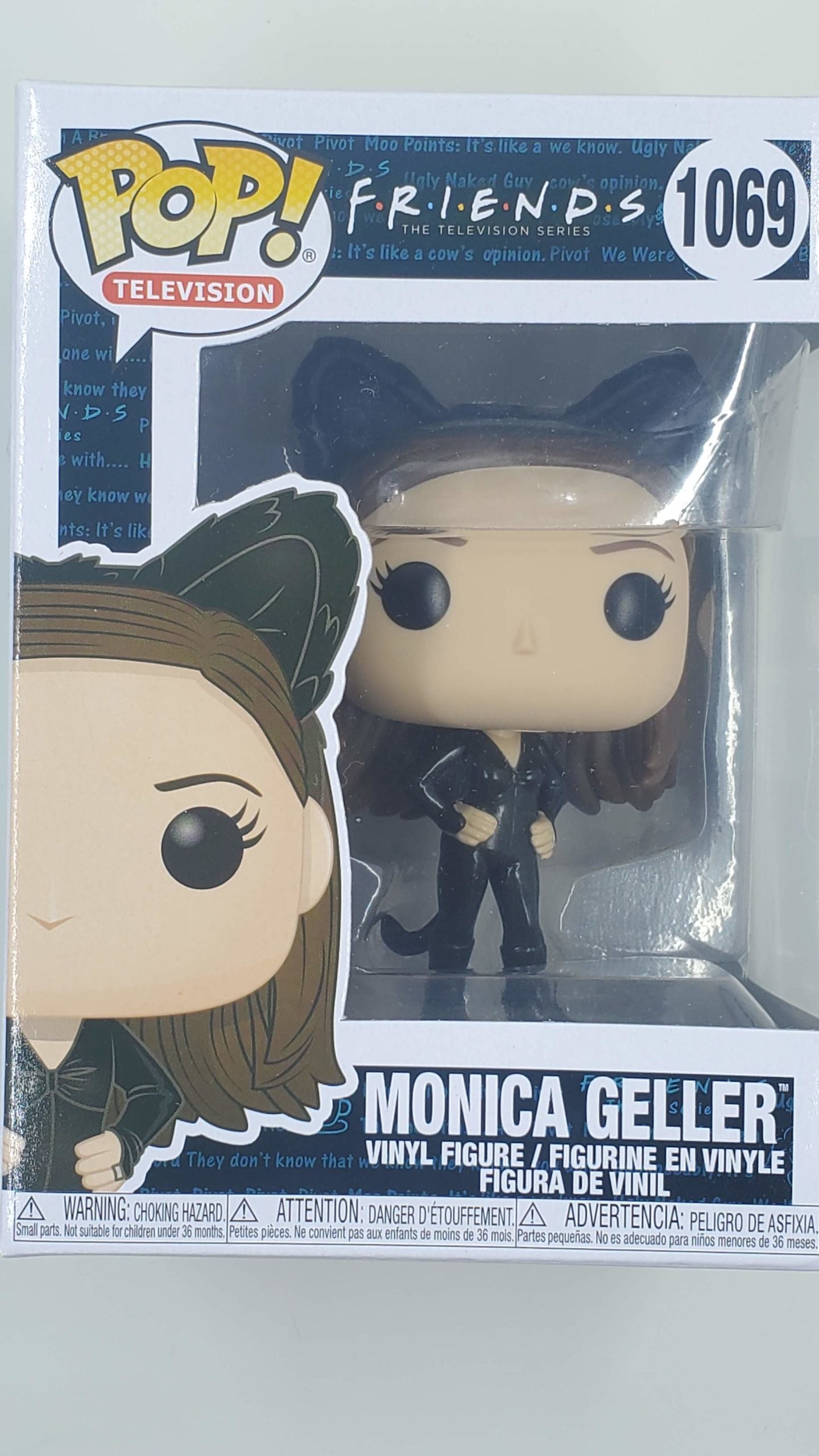 Monica Gellar (Cat) Friends Funko Pop