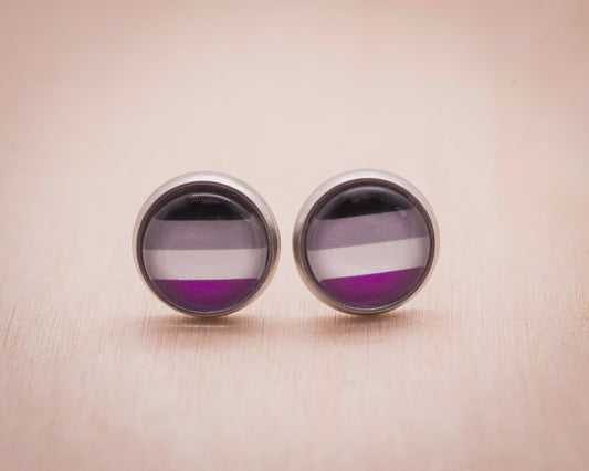 Asexual Flag Pride Earrings