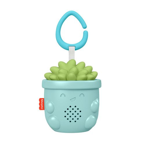 Fisher-Price Soothe & Go Succulent
